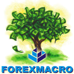 Forex Macro