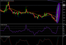 Forex news, intervento del Giappone nel mercato dei cambi