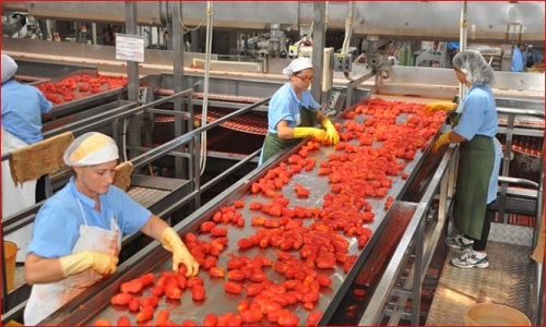 industria pomodoro